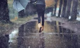 تفسير رؤية نزول المطر في المنام لابن سيرين